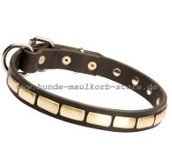 Luxus Designer Hundehalsband mit Platten