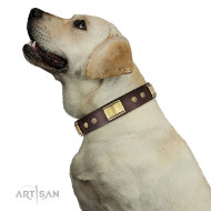 https://www.hunde-maulkorb-store.de/images/Luxus-Halsband-fuer-Labrador.jpg