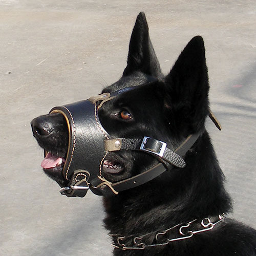 German Shepherd Muzzle