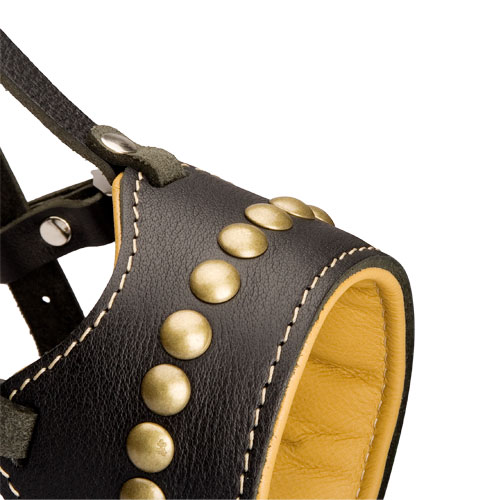 Leather Muzzle with Studs