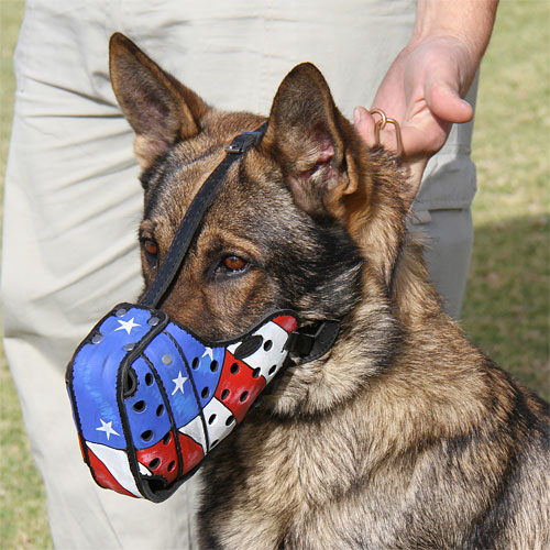  Bemalter Hundemaulkorb fuer Schaeferhund