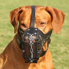 Rhodesian Ridgeback Leder Hundemaulkorb 