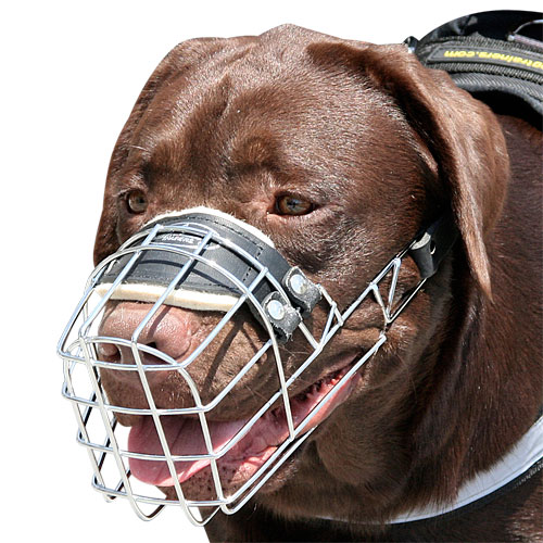 Wire Dog Muzzle for Labrador