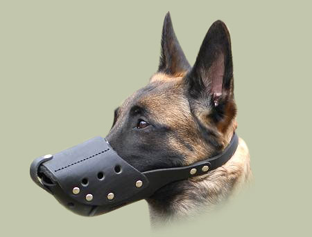 Maulkorb fuer Malinois und aenliche