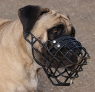 Maulkorb fuer grossen Mastiff 