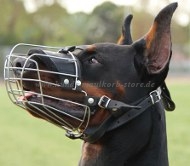 Doberman Wire Muzzle | Dog Muzzle for Doberman