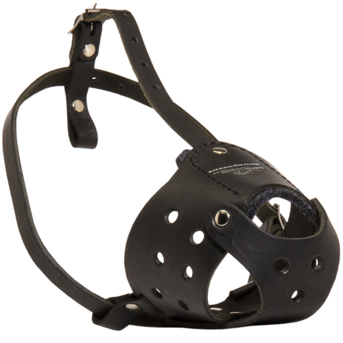 Leather muzzle for Black Terrier