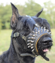 Dog Muzzle Leather for Schnauzer