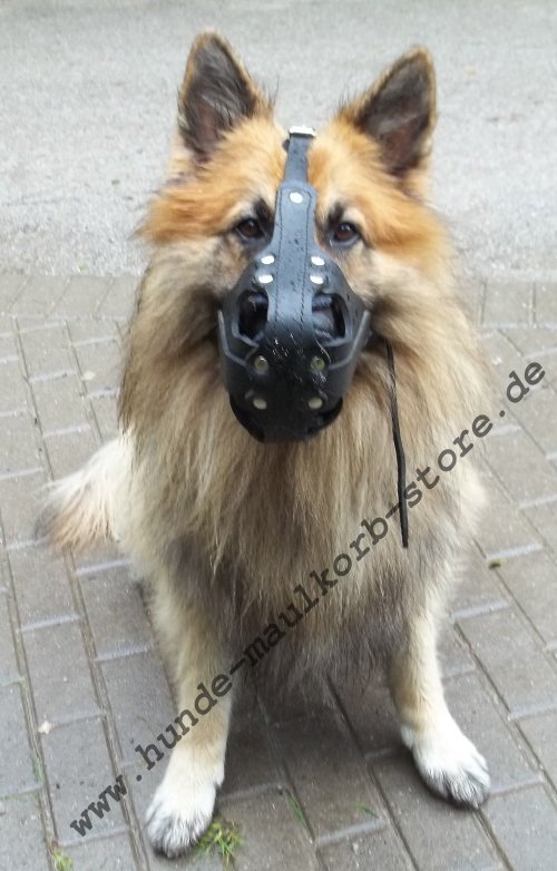 muzzle leather German Shepherd