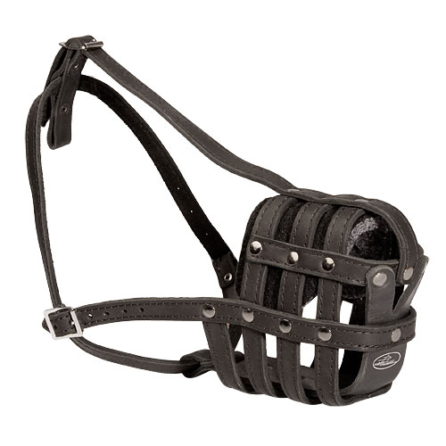 Light Leather Dog Muzzle for Malinois