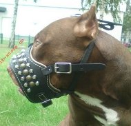 Pitbull Muzzle with Antibarking Design with Studs Royal