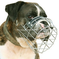 Wire Basket Dog Muzzle for Boxer