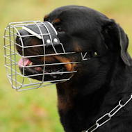Rottweiler Best Wire Dog Muzzle