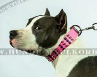 Amstaff Spikes und Nieten Lederhalsband pink