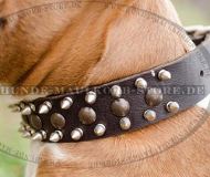 Amstaff Lederhalsband mit Nieten und Spikes