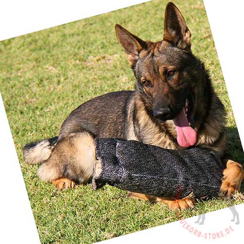 Sport Dog Bite Pillow 