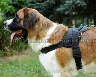 Allwetter-Hundegeschirr aus Nylon für Moskauer Wachhund