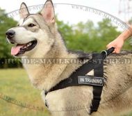 Nylon Geschirr k9 für Alaskan Malamute