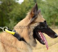 Tervueren k9 Nylon Halsband mit Handschlaufe