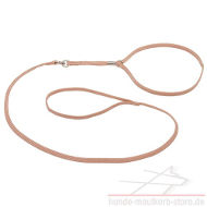 Nylon Lead and Collar Combination for Dog Shows