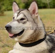 Originelles Flechten-Halsband für die Erziehung von Malamute