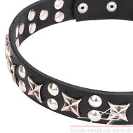 Leather Collar with the Mix of Studs as Stars and Semiballs