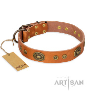 Stilvolles Hundehalsband aus Leder von FDT Artisan