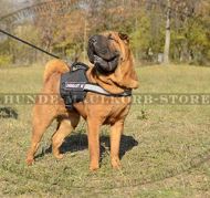 Dog Harness with Reflective Strap for Shar-Pei