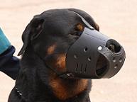 RottweilerEveryday Leather dog muzzle M51