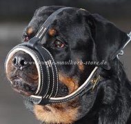 Rottweiler Royal Nappa Leather Dog Muzzle