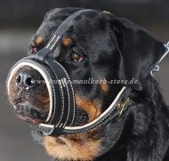 Exklusiver Nappa Maulkorb Rottweiler ✪ ✪