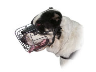 Large Wire Basket dog muzzle for Sarmatian mastiff