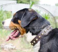 Schmuckhalsband für Sennenhund, Lederhalsband mit Schmuck