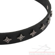 Sterne Halsband für Hund