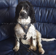 Spaniel Geschirr aus Leder mit royalem Design Spaniel Geschirr aus Leder mit royalem Design