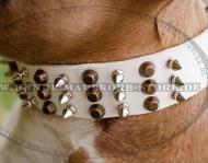 Einzigartiges Designer Halsband schneeweiß für Amstaff