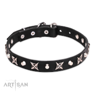 Glanzvolles Hundehalsband aus Leder mit silbrigen Nieten