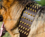 Attraktiv Halsband mit Messing Spikes Attraktiv Halsband mit Messing Spikes