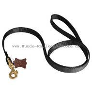 Professional Nylon Dog Leash