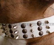 Hervorragendes Amstaff Lederhalsband weiß Hervorragendes Amstaff Lederhalsband weiß