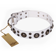 Lederhalsband Lederhalsband