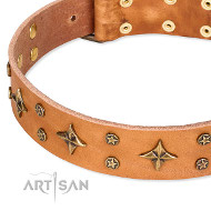 Tan Farbe Lederhalsband modisch