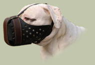 American Bulldog Large breeds leather Dog Muzzle "Dondi plus"