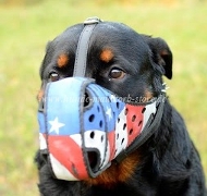 Rottweiler Maulkorb in Amerika Stil Ⓡ