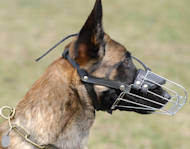 Wire Basket Dog Muzzle for Malinois Best Offer!