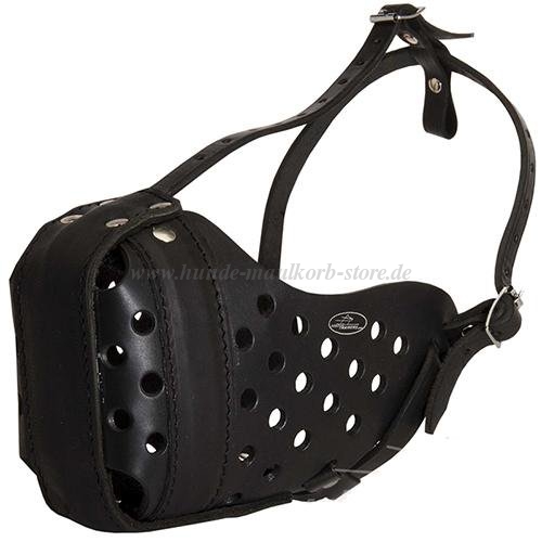 Large breeds leather Dog Muzzle "Dondi plus" - Click Image to Close