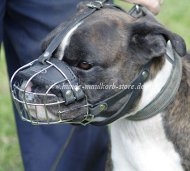 Wire Muzzle Boxer | Wire Basket Muzzle Boxer