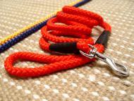 Cord nylon dog leash 10 mm