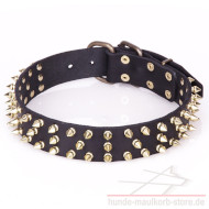 Leather Collar with spikes