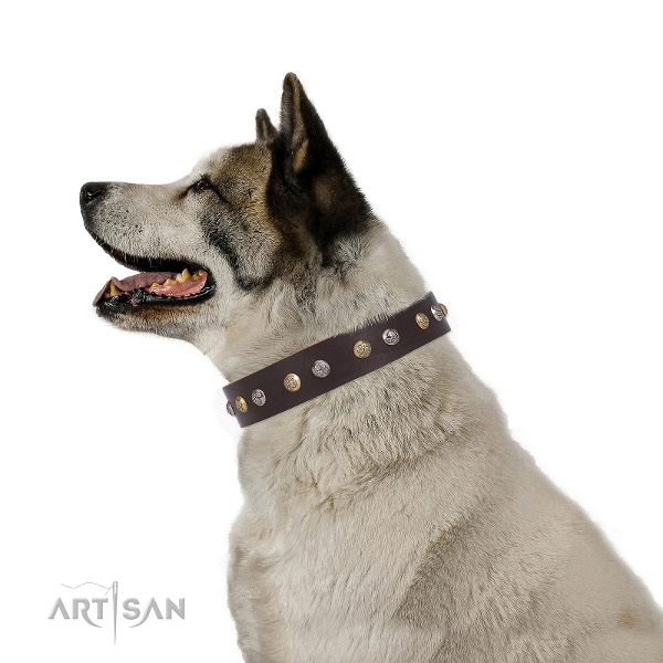 ledernes Halsband mit Design am Hund